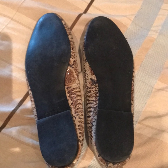 Snake print patent with gold ribbon , ballet flat - Picture 3 of 9